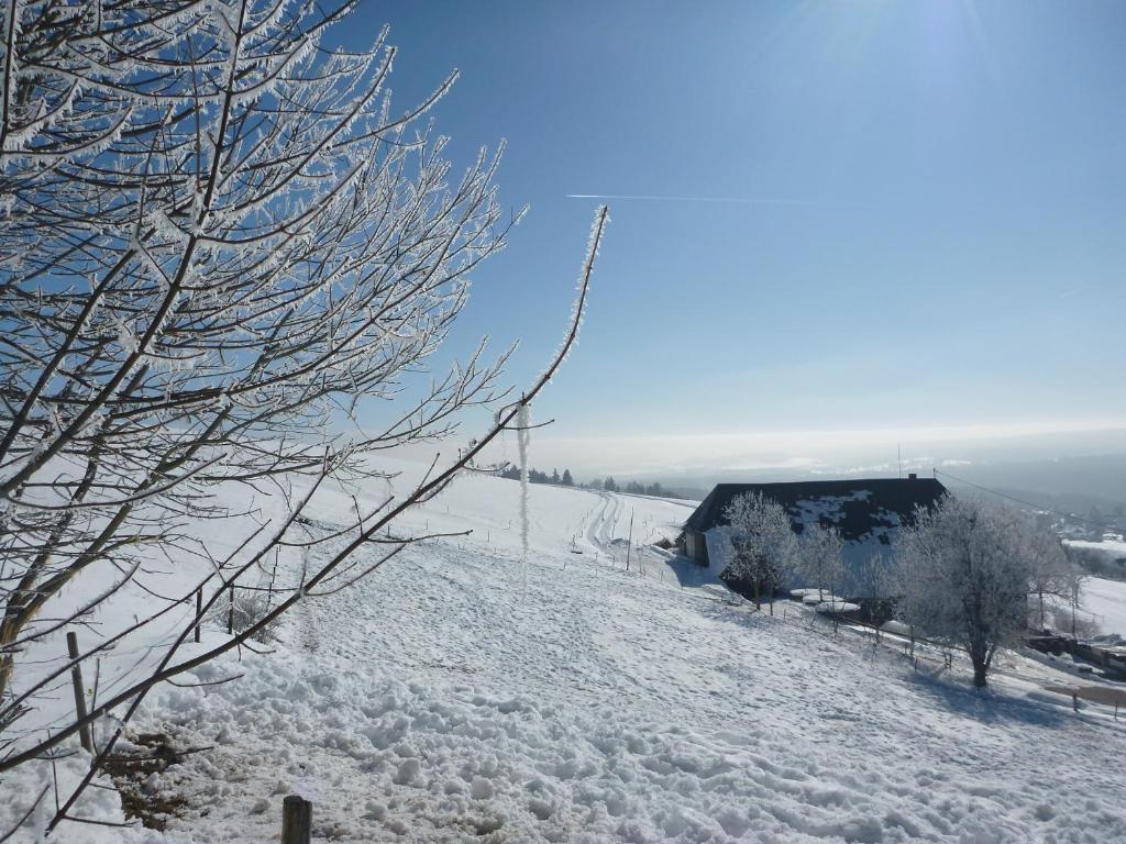 Gaestehaus Hundelbach Lenzkirch Buitenkant foto