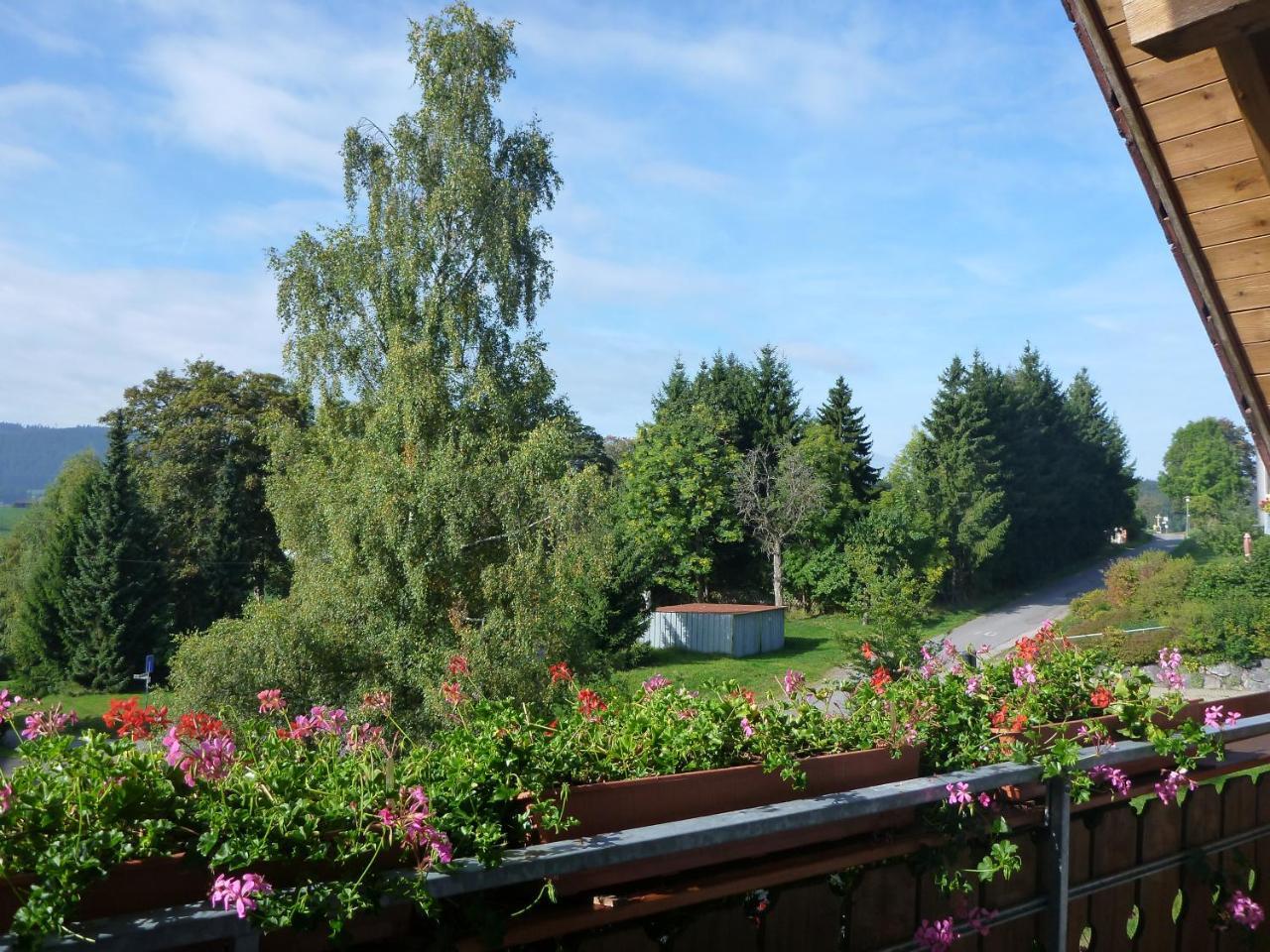 Gaestehaus Hundelbach Appartement Lenzkirch Buitenkant foto