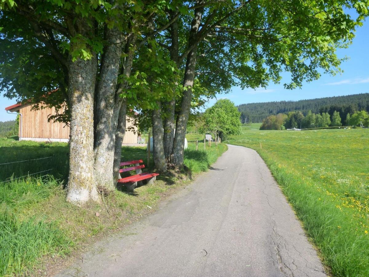 Gaestehaus Hundelbach Lenzkirch Buitenkant foto